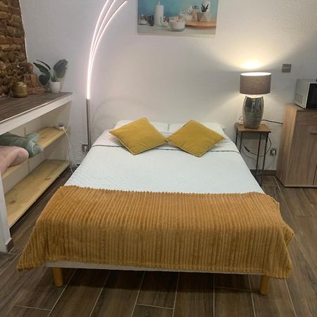 Studio 25M2 En Plein Coeur De Perpignan Exterior foto